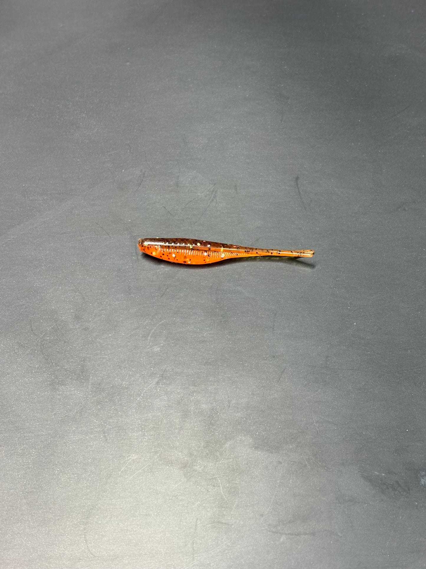 2 Inch Pumpkin Seed Tracer Minnow (Pack Of 20)