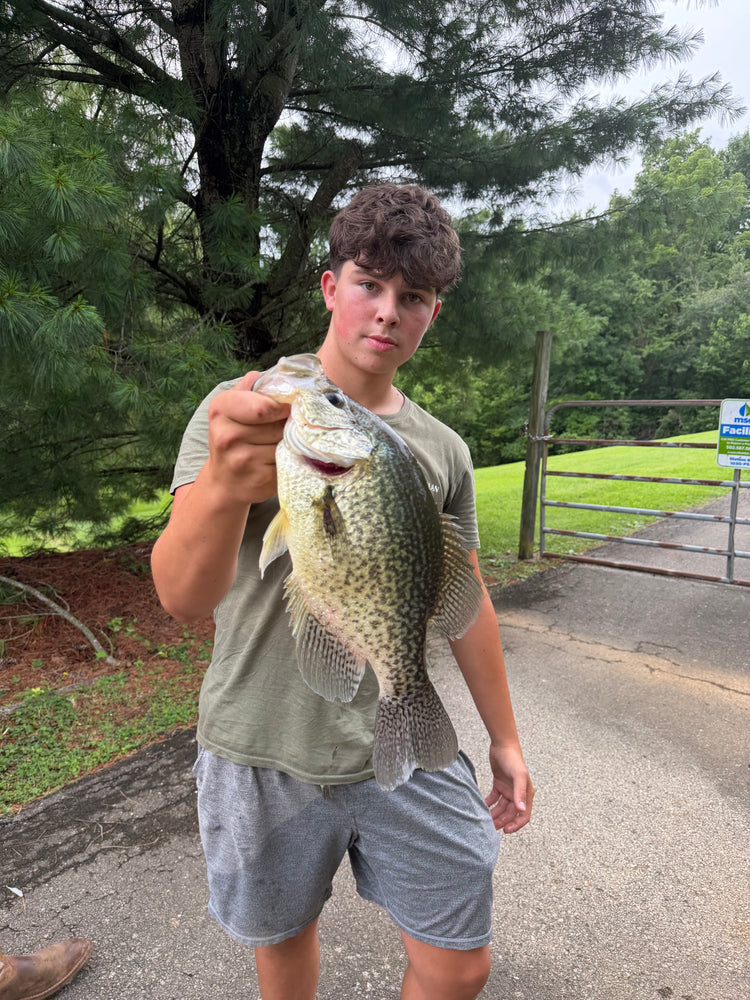 2 Inch Slab Twister
