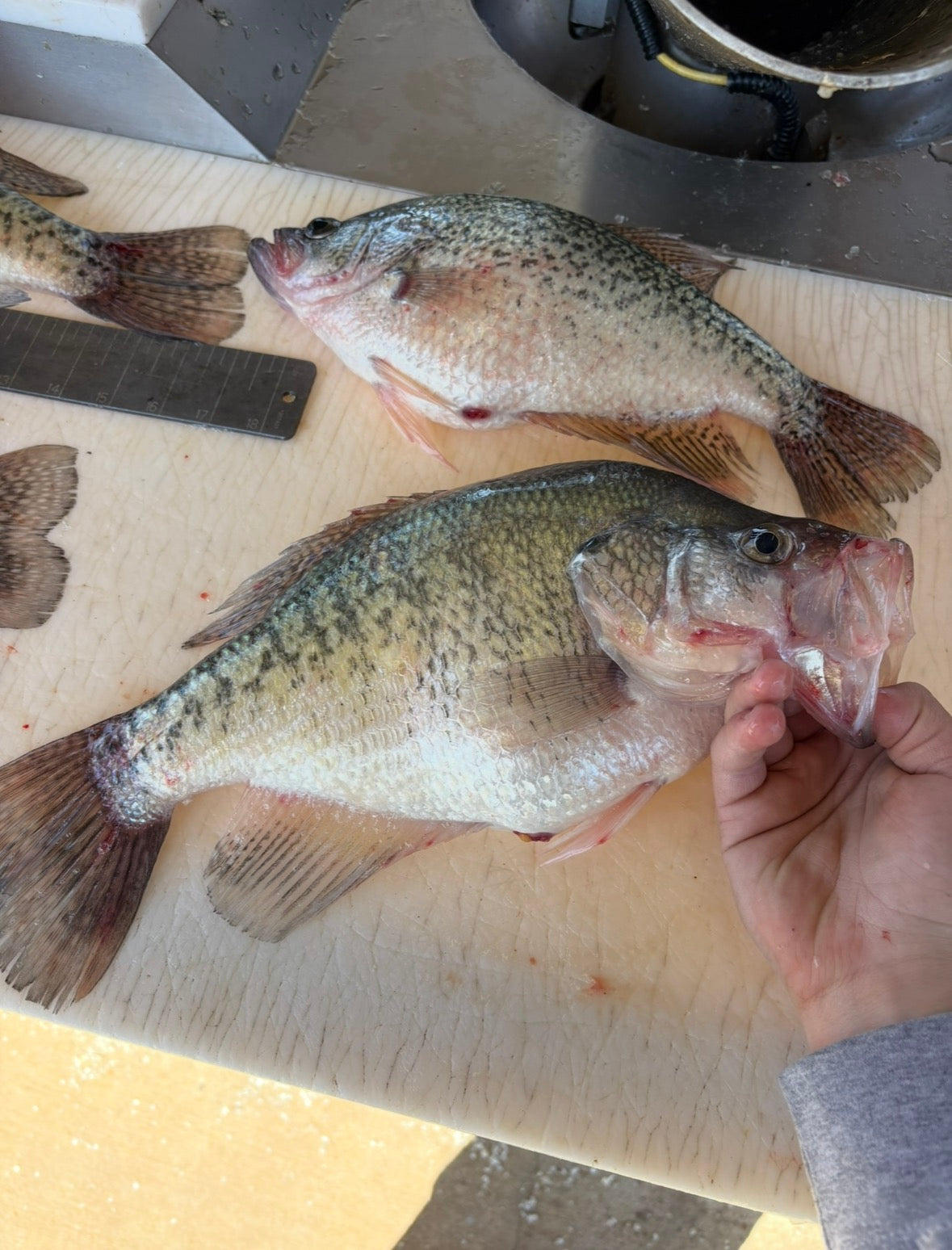 2 Inch Slab Tracers