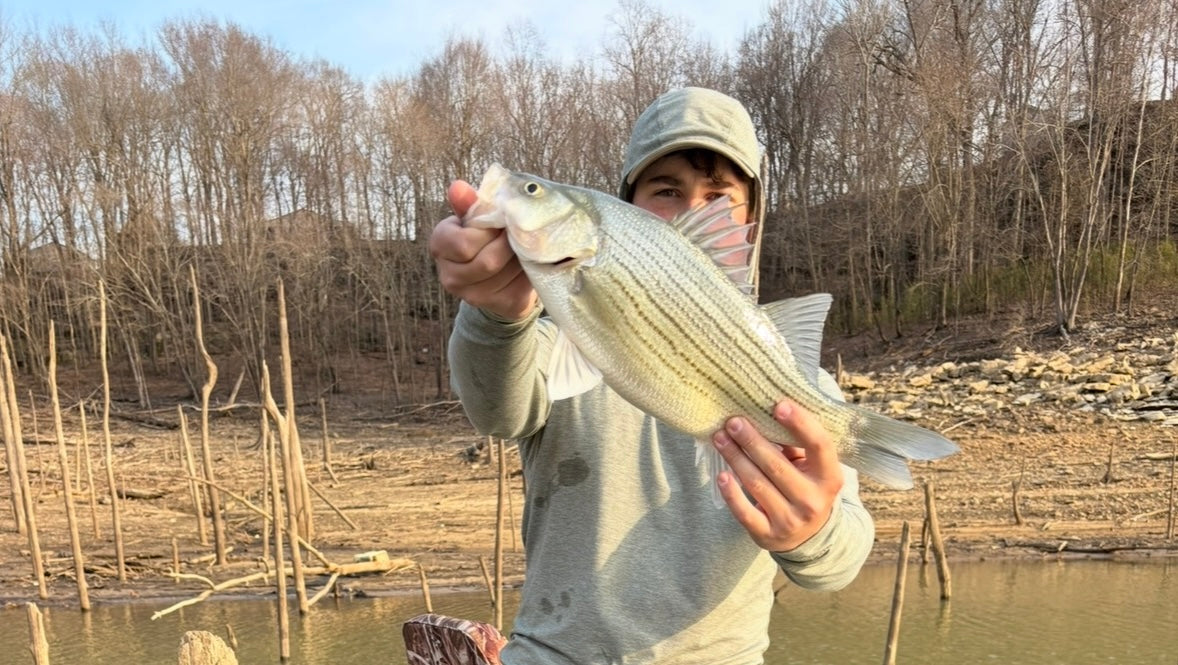 5 Inch Jerk-Baits (Fluke)