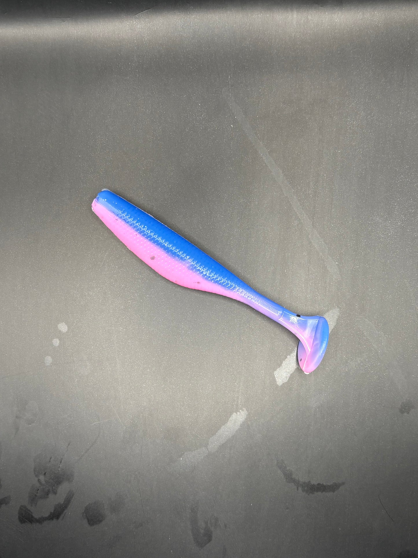 3.8 Inch Cotton-Candy Paddle-Tails (Pack Of 6)