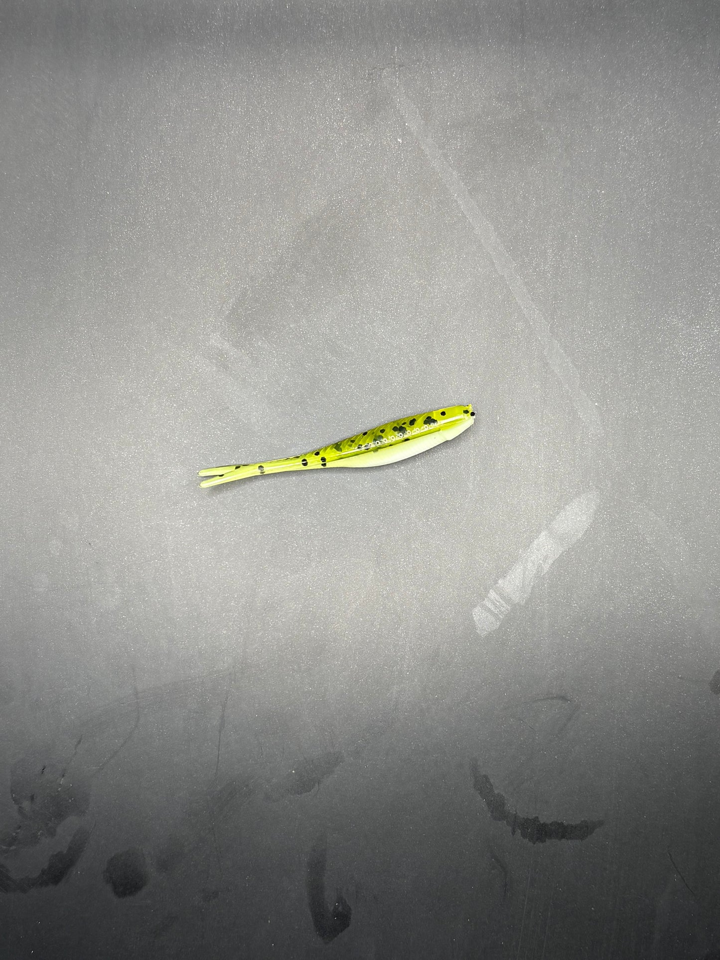 2 Inch Baby Bass Tracer Minnow (Pack Of 20)