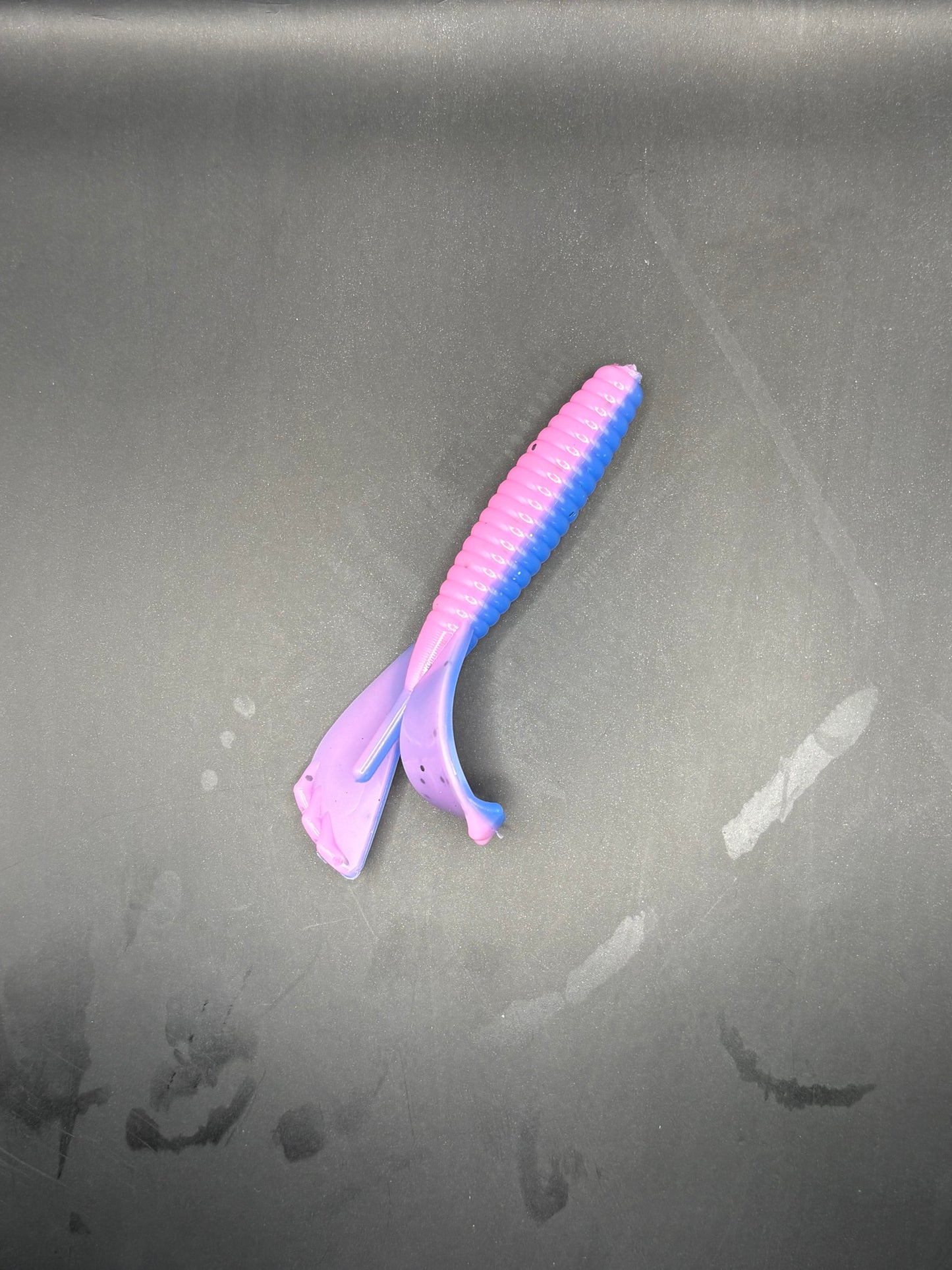 3.5 Inch Cotton-Candy Grub (Pack Of 6)