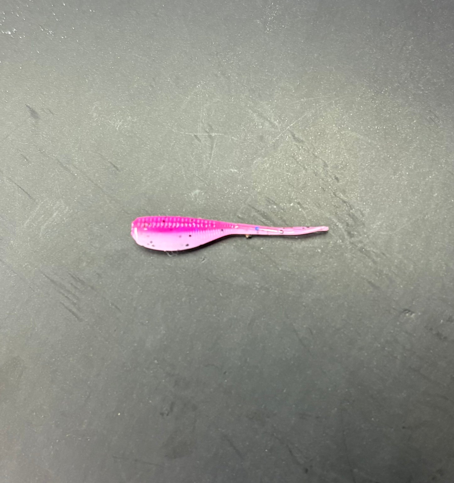 1.2 Inch DragonFruit Slab Tracer (Pack Of 14)