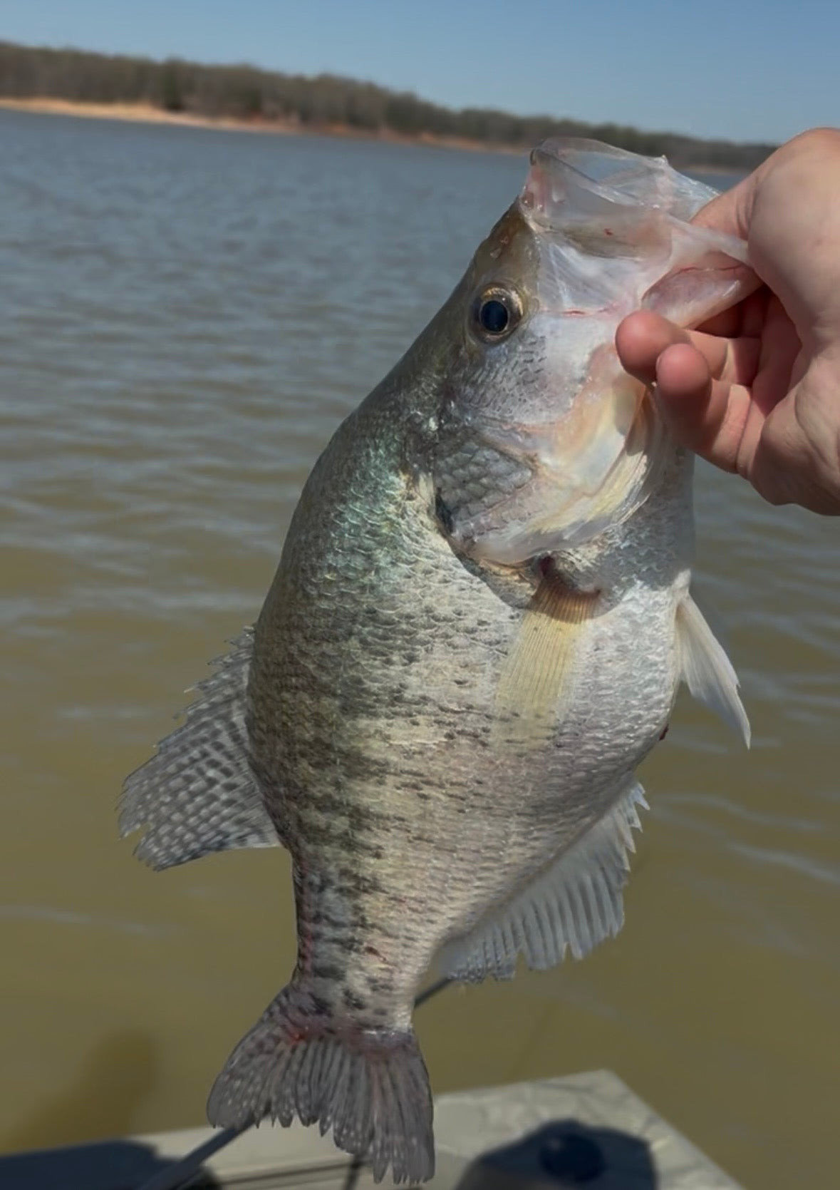 RRTC Monthly Crappie Box